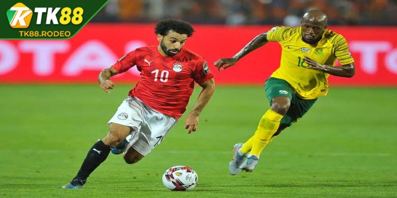 Hướng dẫn đọc chi tiết tỷ lệ thắng thua 