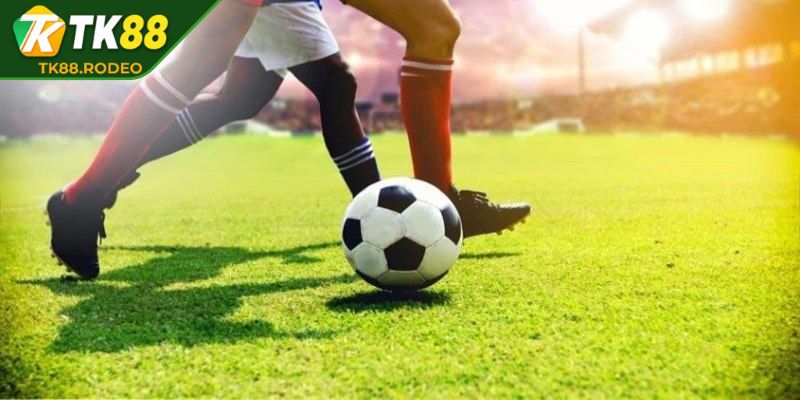 Trải nghiệm đặt cược châu Âu đơn giản